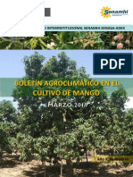 Boletín Agroclimático en El Cultivo de Mango