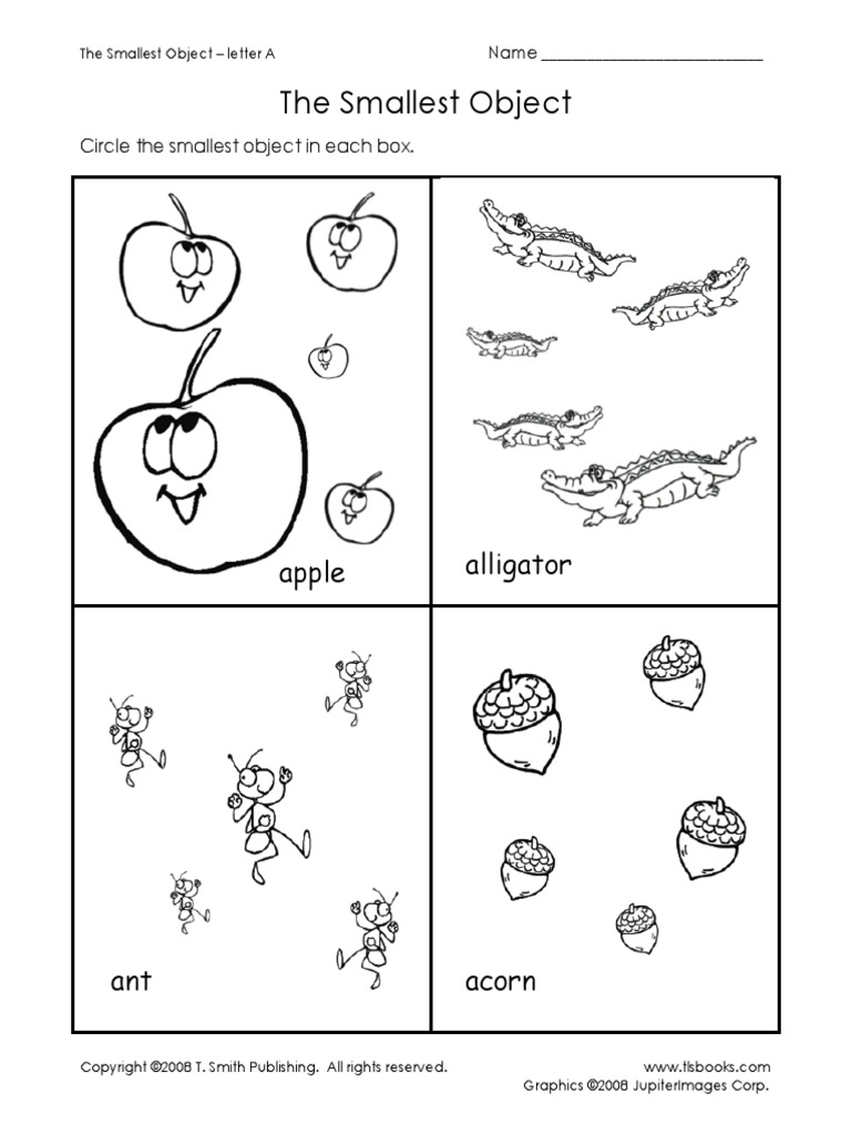 The Smallest Object: Alligator Apple | PDF
