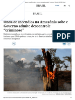 Onda de Incêndios Na Amazônia Sobe e Governo Admite Descontrole “Criminoso” _ Brasil _ EL PAÍS Brasil