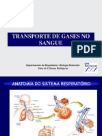 TRANSPORTE de GASES NO SANGUE. Departamento de Bioquímica e Biologia Molecular Setor de Ciências Biológicas