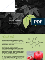 Presentación Ruta Biosintética de Flavonoide