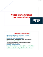 Virus transmitidos por nemátodos y hongos del suelo