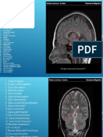 ===DISPOSITIVAS CLASE ANATOMIA