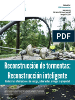 Reconstruccion de tormentas-Reconstruccion inteligente.pdf