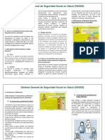 Folleto Sistema Seguridad Colombia