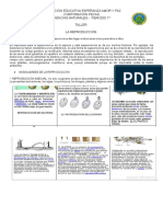 Taller 1 Reproduccion 7