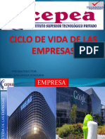 01-Ciclo de Vida de Las Empresas Juan Apaza