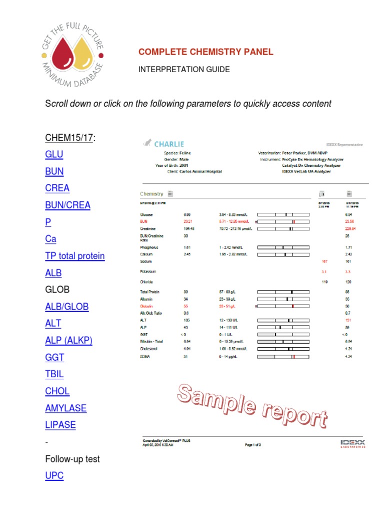 IDEXX CBC Chem Explained PDF Renal Function Creatinine