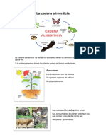 La Cadena Alimenticia PRMARIA