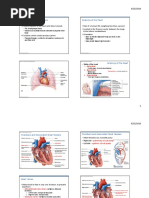 Cardiovascular Notes