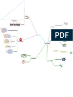 Mapa MUESTREO v2