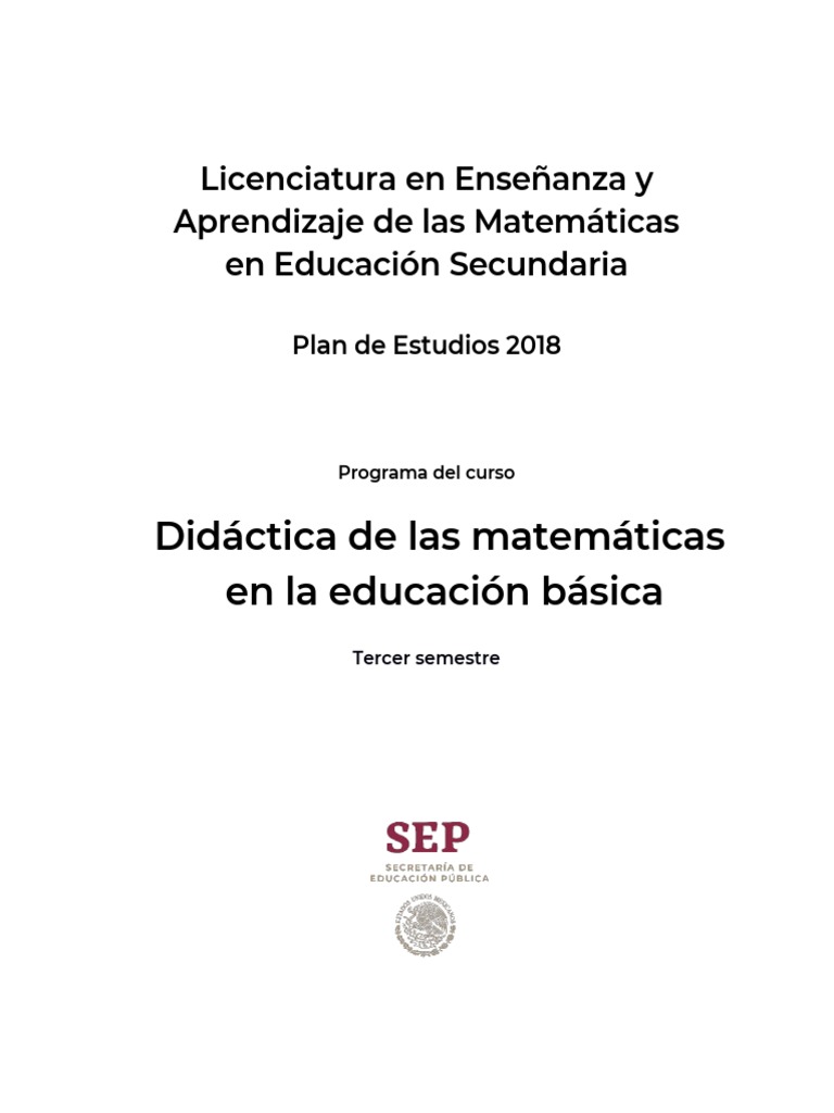 Didactica de Las Matematicas en La Educacion Básica | PDF | Plan de ...