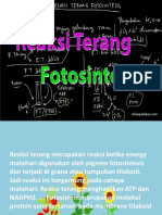 reaksi terang biologi