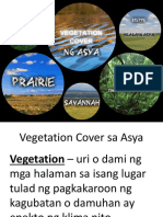 Vegetation Cover Sa Asya