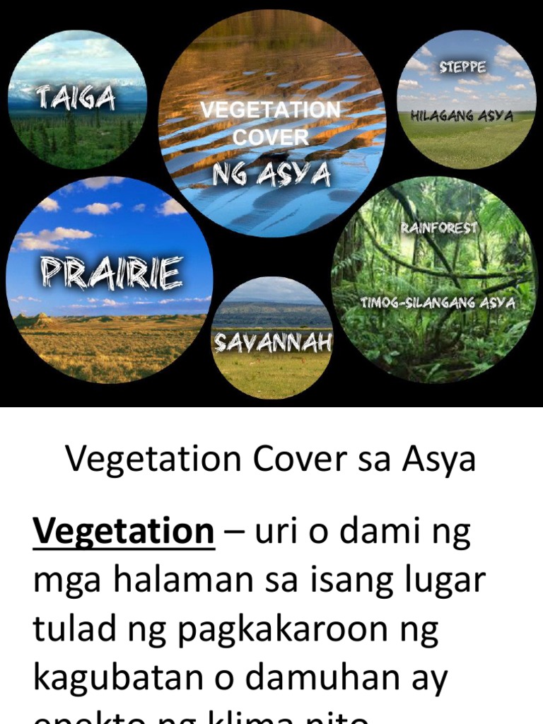 Vegetation Cover sa Asya