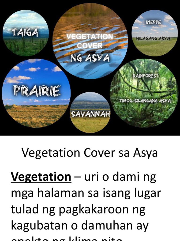 Ano Ang Vegetation Cover Sa Pilipinas