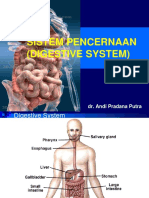 Fisiologi Sistem Pencernaan