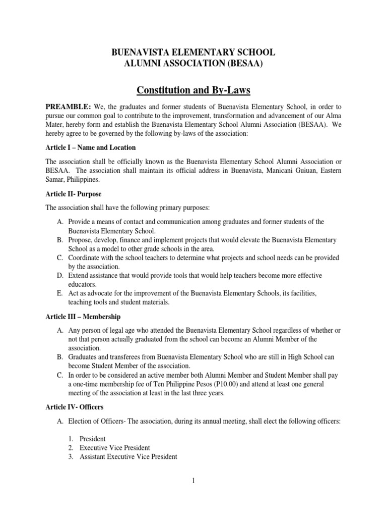 Besaa by Laws | PDF | Secretary | Audit