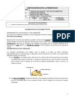 Guia4 Excrecionenseresvivos Grado5 Periodo2 PDF