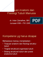 Tinjauan Anatomi Dan Fisiologi Tubuh Manusia