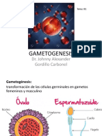 Gametogénesis