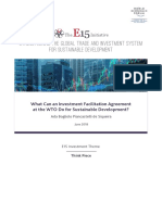 What Can an Investment Facilitation Agreement at the WTO Do for Sustainable Development_.pdf