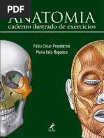 Anatomia - Caderno Ilustrado de Exercicios