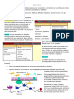 Antiasmáticos clasificación