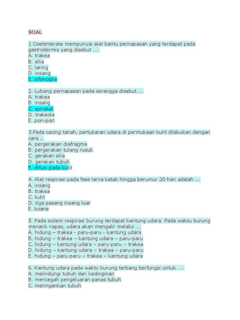 Soal Respirasi