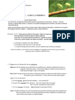 Diligencia 2a Pedro 1 - 5 - 23 Julio PDF