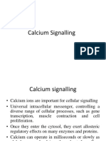 Calcium Signalling