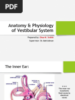 Anatomy & Physiology of Vestibular System: Prepared By: Supervisor: Dr. Adel Adwan