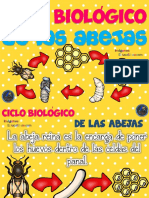 Ciclo Biologico de Las Abejas para Ninos PDF