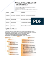 Structural Organisation Inanimals: Epithelial Tissue