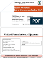 Proyecto Ambiental, Manejo Integral de La Microcuenca Caplina Alta