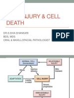 Cell Injury & Cell Death