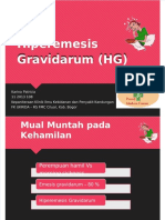 Hiperemesis Gravidarum (HG)