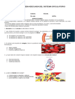 Sistema Circulatorio 2019
