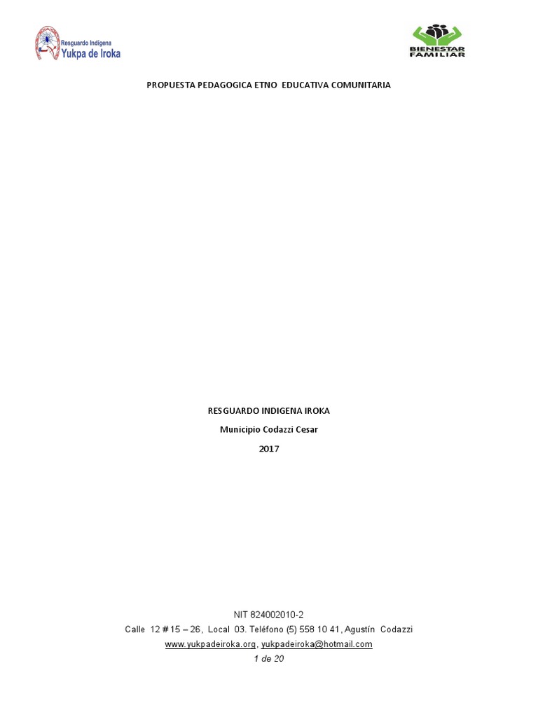 Propuesta Pedagógica | PDF | Educación de la primera infancia | Infancia