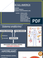 Sistema endócrino.pptx