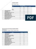 Plantilla Matriz RACI