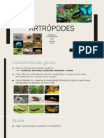 Artropodes