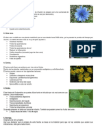 plantas medicinales.docx