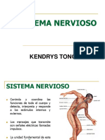 Diapositivas Sistema Nervioso
