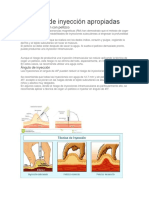 Técnicas de Inyección Apropiadas