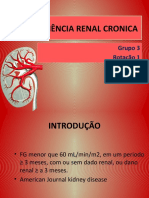 Insuficiência Renal Cronica