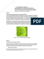 inorganica fluorescencia complejo