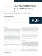 cirugia microreconstructiva de extremidades