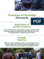 Producers of Avocados: Michoacán