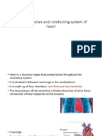 Cardiac Muscles and Conducting System of Heart